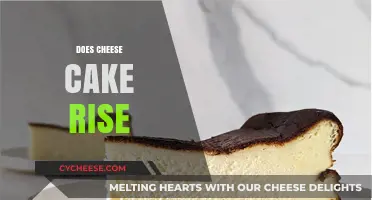 Does Cheesecake Rise? Uncovering the Science Behind Its Texture
