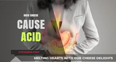 Does Cheese Cause Acid Reflux? Unraveling the Dairy Dilemma