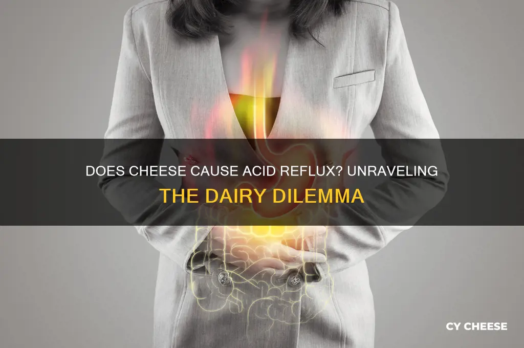 does cheese cause acid