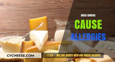 Does Cheese Cause Allergies? Uncovering the Truth Behind Dairy Sensitivities