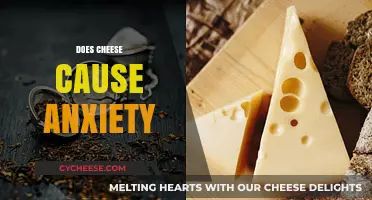 Cheese and Anxiety: Unraveling the Surprising Connection Between Diet and Mood