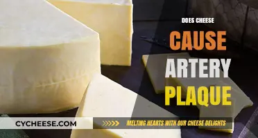 Cheese and Artery Health: Does Dairy Contribute to Plaque Buildup?