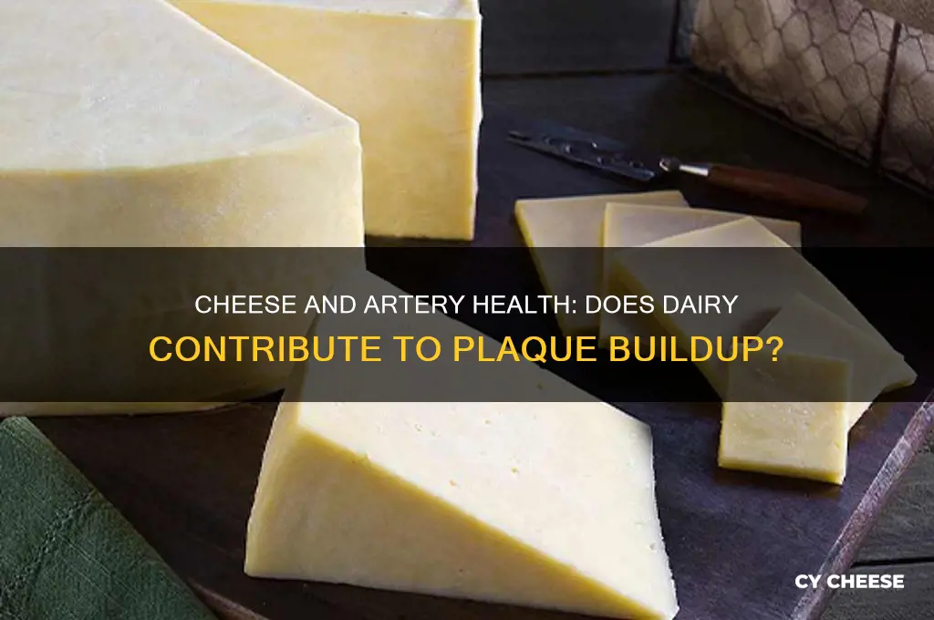 does cheese cause artery plaque