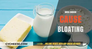 Does Cheese Cause Bloating? Unraveling the Dairy Dilemma