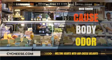 Cheese and Body Odor: Unraveling the Smelly Connection