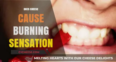 Cheese and Burning Sensation: Unraveling the Spicy Truth Behind Dairy