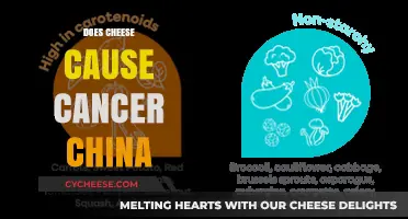 Cheese and Cancer: Unraveling the Truth in China's Health Debate