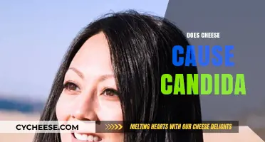 Does Cheese Fuel Candida Overgrowth? Unraveling the Dietary Connection