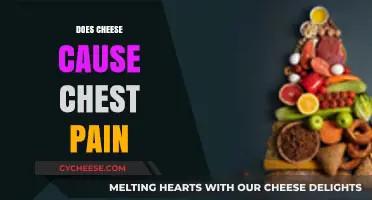 Does Cheese Cause Chest Pain? Unraveling the Dairy Dilemma