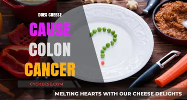 Cheese and Colon Cancer: Unraveling the Truth Behind the Myth