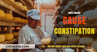 Does Cheese Cause Constipation? Unraveling the Dairy-Digestive Connection