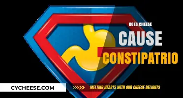 Does Cheese Cause Constipation? Unraveling the Dairy-Digestive Connection