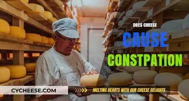 Does Cheese Cause Constipation? Unraveling the Dairy and Digestion Debate