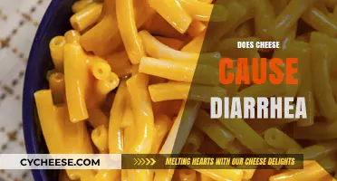 Does Cheese Cause Diarrhea? Unraveling the Dairy Dilemma