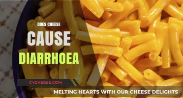 Cheese and Diarrhea: Unraveling the Truth Behind Digestive Woes