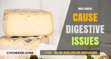 Does Cheese Cause Digestive Issues? Unraveling the Dairy Dilemma