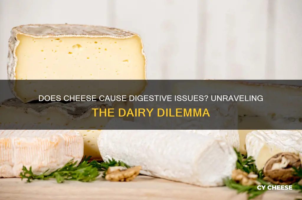 does cheese cause digestive issues