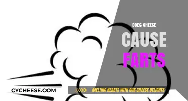 Does Cheese Cause Farts? Unraveling the Gassy Dairy Debate