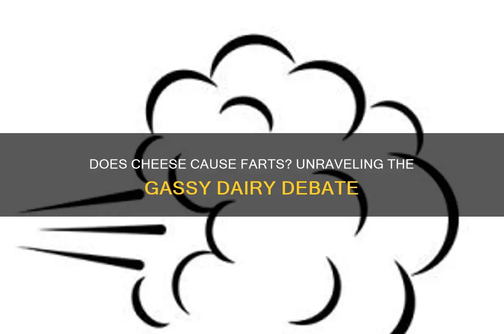 does cheese cause farts