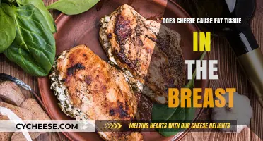 Does Cheese Consumption Lead to Breast Fat Tissue Accumulation?