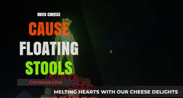 Does Cheese Cause Floating Stools? Unraveling the Digestive Mystery