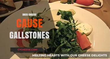 Cheese and Gallstones: Unraveling the Dietary Connection to Gallbladder Health