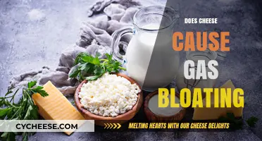 Does Cheese Cause Gas and Bloating? Uncovering the Truth