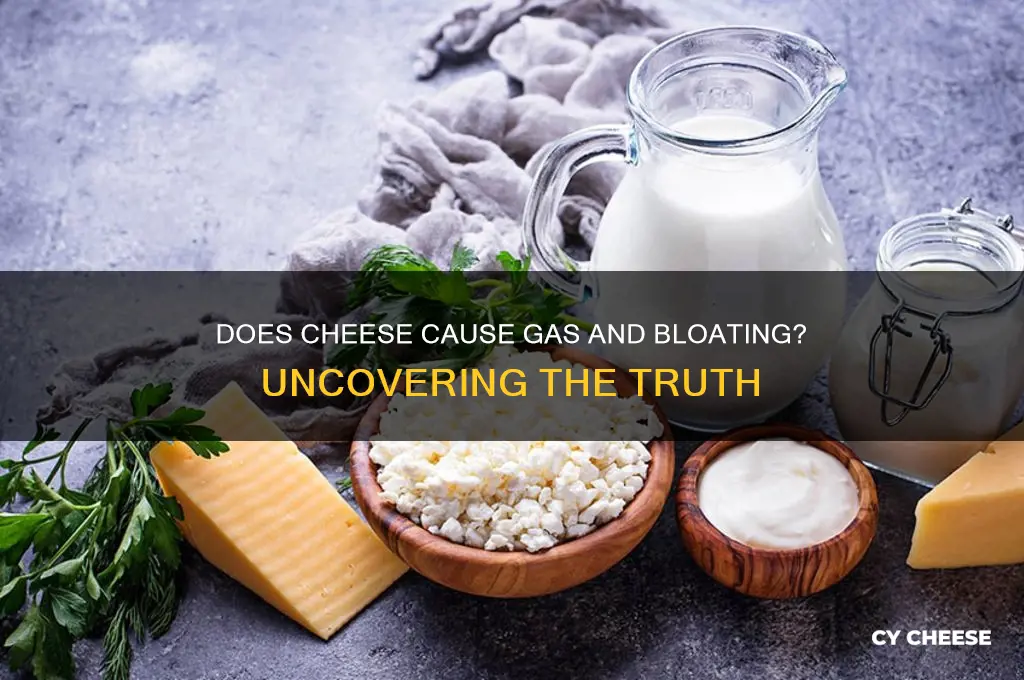 does cheese cause gas bloating