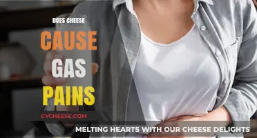 Does Cheese Cause Gas Pains? Unraveling the Dairy Dilemma