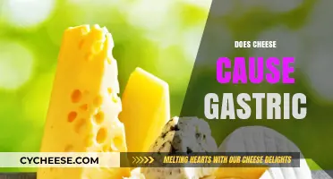 Does Cheese Cause Gastric Issues? Unraveling the Dairy Dilemma