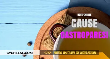 Does Cheese Cause Gastroparesis? Unraveling the Dietary Link and Risks