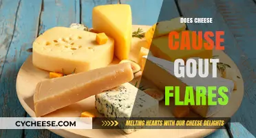 Cheese and Gout: Unraveling the Truth Behind Flare-Ups