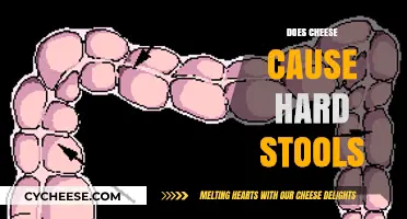 Does Cheese Cause Hard Stools? Unraveling the Dairy-Digestive Connection