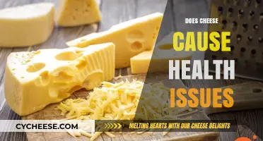 Cheese and Health: Debunking Myths About Potential Health Issues