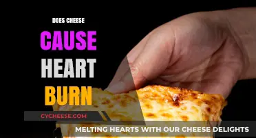 Does Cheese Trigger Heartburn? Unraveling the Dairy-Digestive Connection