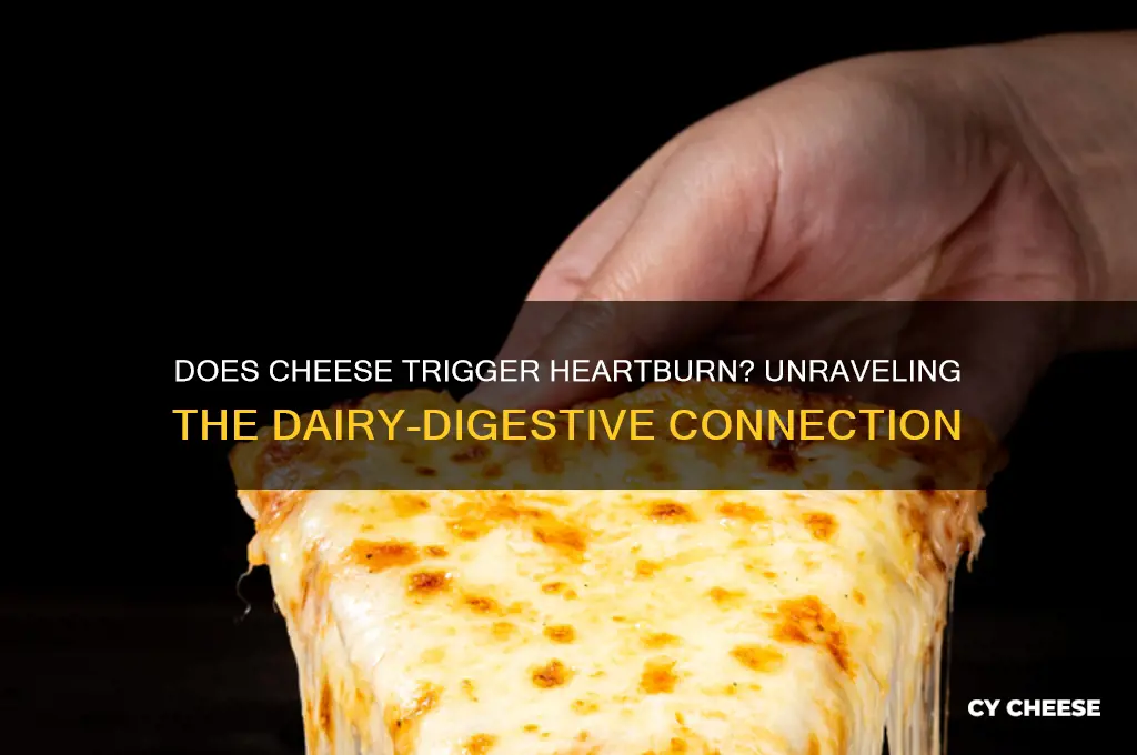 does cheese cause heart burn
