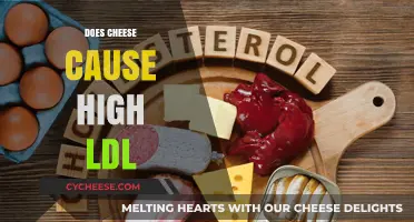 Does Cheese Increase LDL Cholesterol? Unraveling the Dairy Dilemma