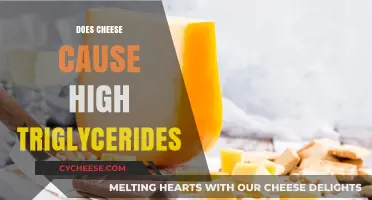 Cheese and Triglycerides: Unraveling the Link to High Levels