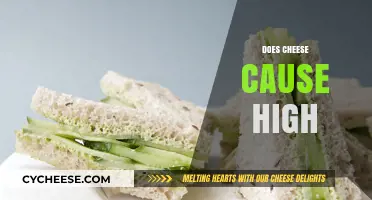 Does Cheese Cause High Blood Pressure? Unraveling the Dairy Dilemma