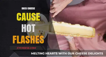 Cheese and Hot Flashes: Unraveling the Hormonal Connection