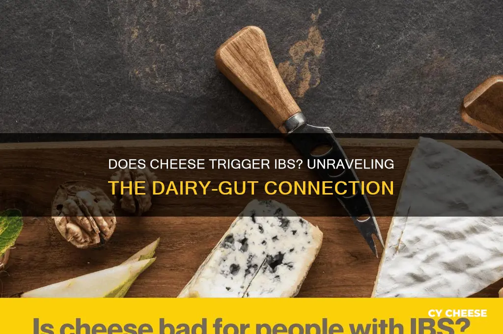 does cheese cause ibs