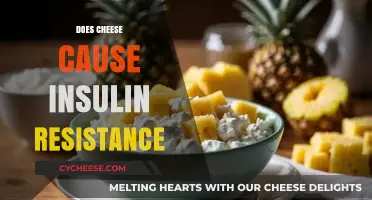 Cheese and Insulin Resistance: Unraveling the Dietary Connection