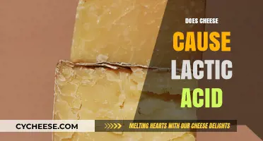 Does Cheese Increase Lactic Acid Levels? Unraveling the Dairy Myth