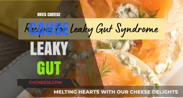 Does Cheese Cause Leaky Gut? Unraveling the Dairy-Gut Connection