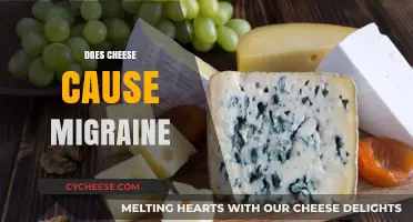 Does Cheese Trigger Migraines? Unraveling the Dairy-Headache Connection