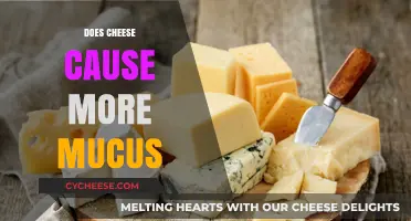 Cheese and Mucus: Unraveling the Myth Behind Dairy's Impact