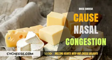 Cheese and Nasal Congestion: Unraveling the Stuffy Nose Myth