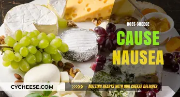 Can Cheese Cause Nausea? Understanding the Link and Possible Triggers
