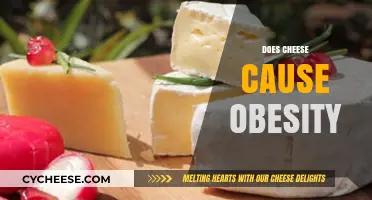 Does Cheese Cause Obesity? Unraveling the Dairy-Weight Connection