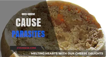 Does Cheese Cause Parasites? Unraveling the Myth and Facts